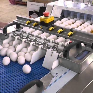 Gıda Paketleme Hattı Otomasyonu