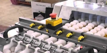 Paketleme Hattı Otomasyonu